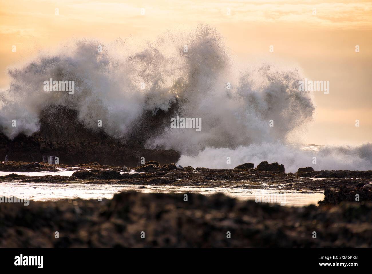 Golden ocean beach sunrise splashing hi-res stock photography and ...