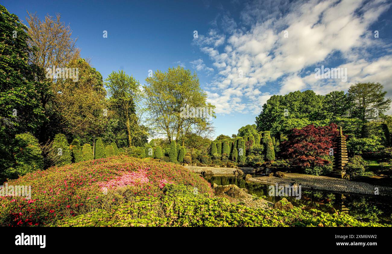 Japanese garden in the Rheinauenpark, view of the lake and the pagoda