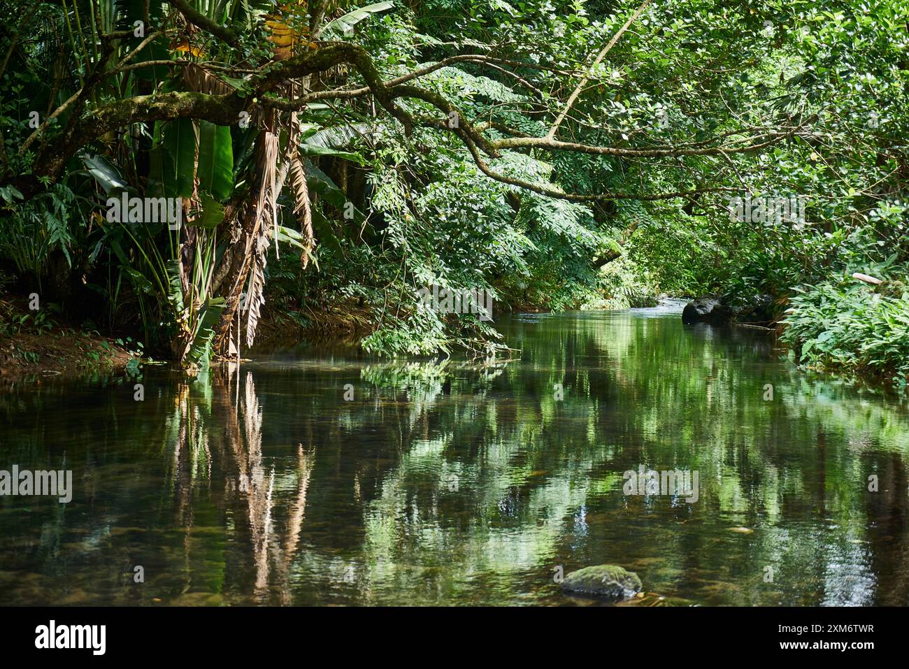Africa, Mauritius Island, Indian Ocean, River Stock Photo - Alamy