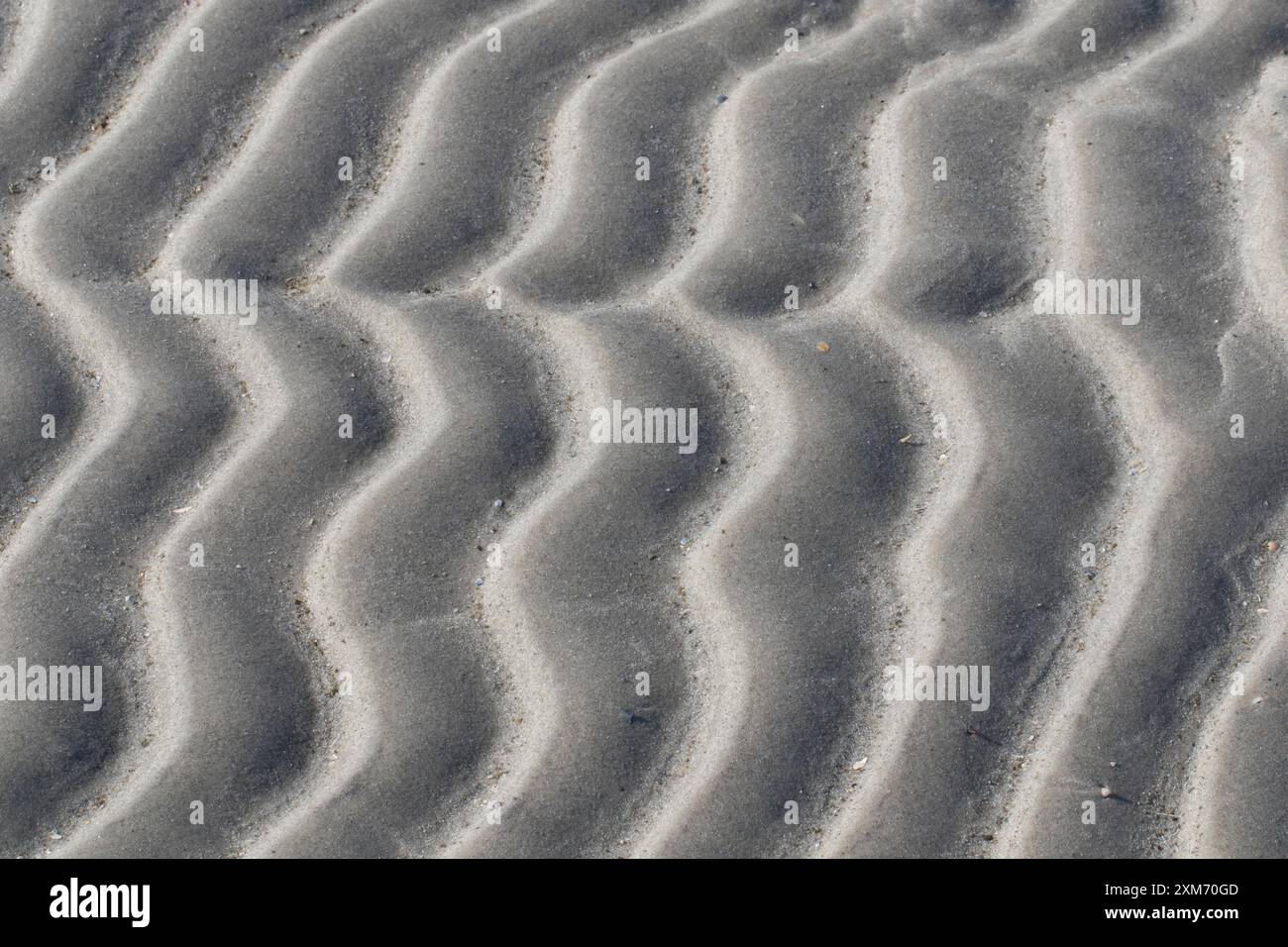 Structures of the mudflats hi-res stock photography and images - Alamy