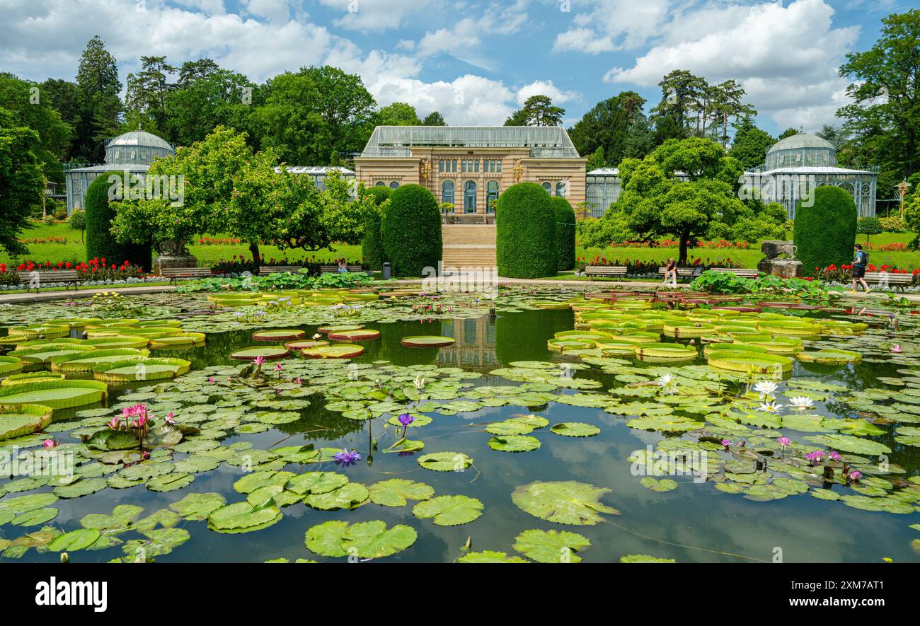 Wilhelma zoological botanical garden stuttgart hi-res stock