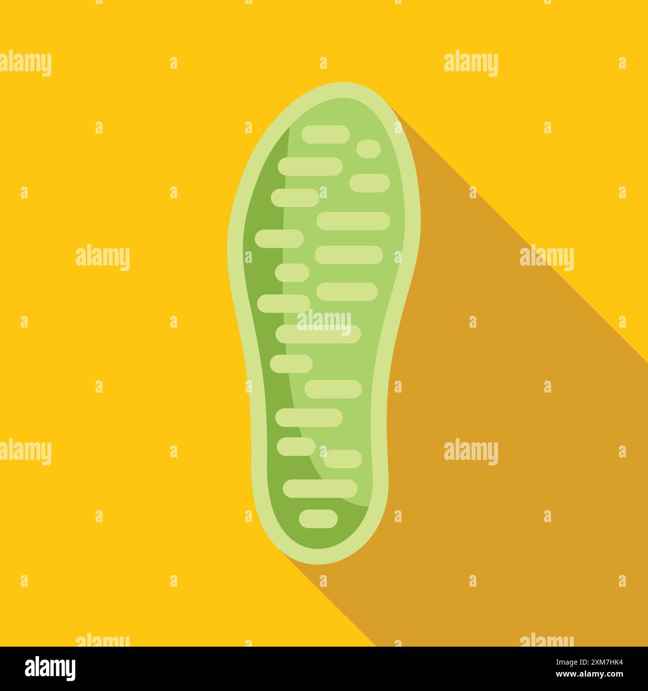 Hehlina | Orthopedic Flat Shoes