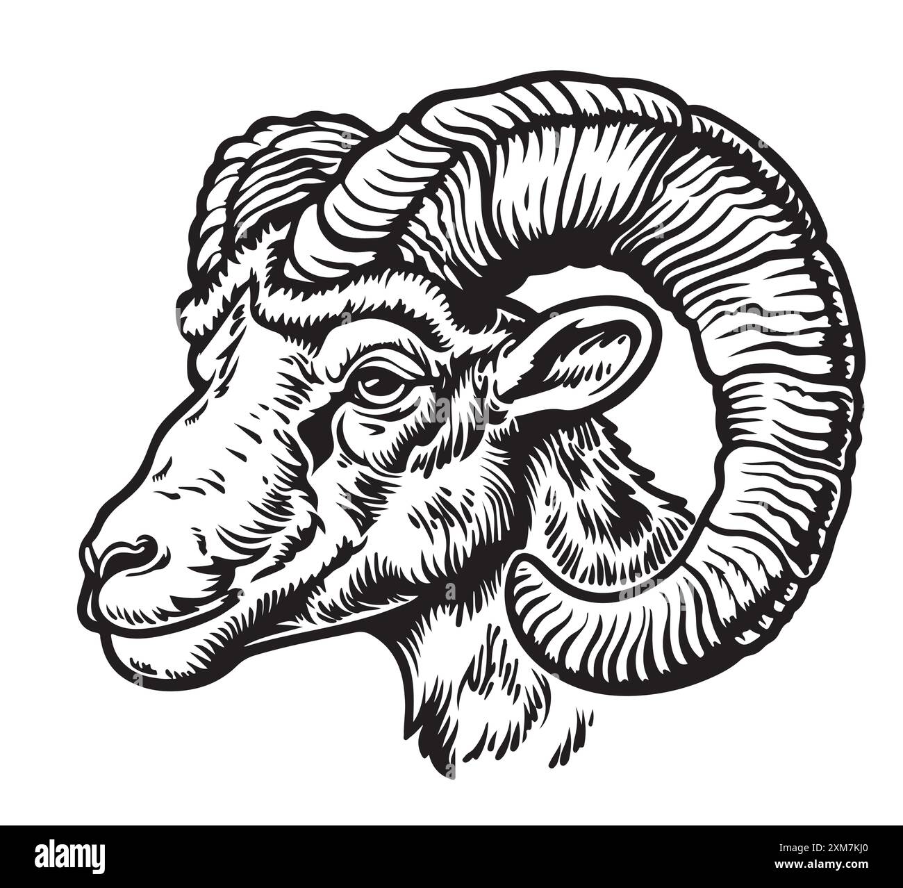 Aries ram sketch hand drawn in doodle style Horoscope illustration ...