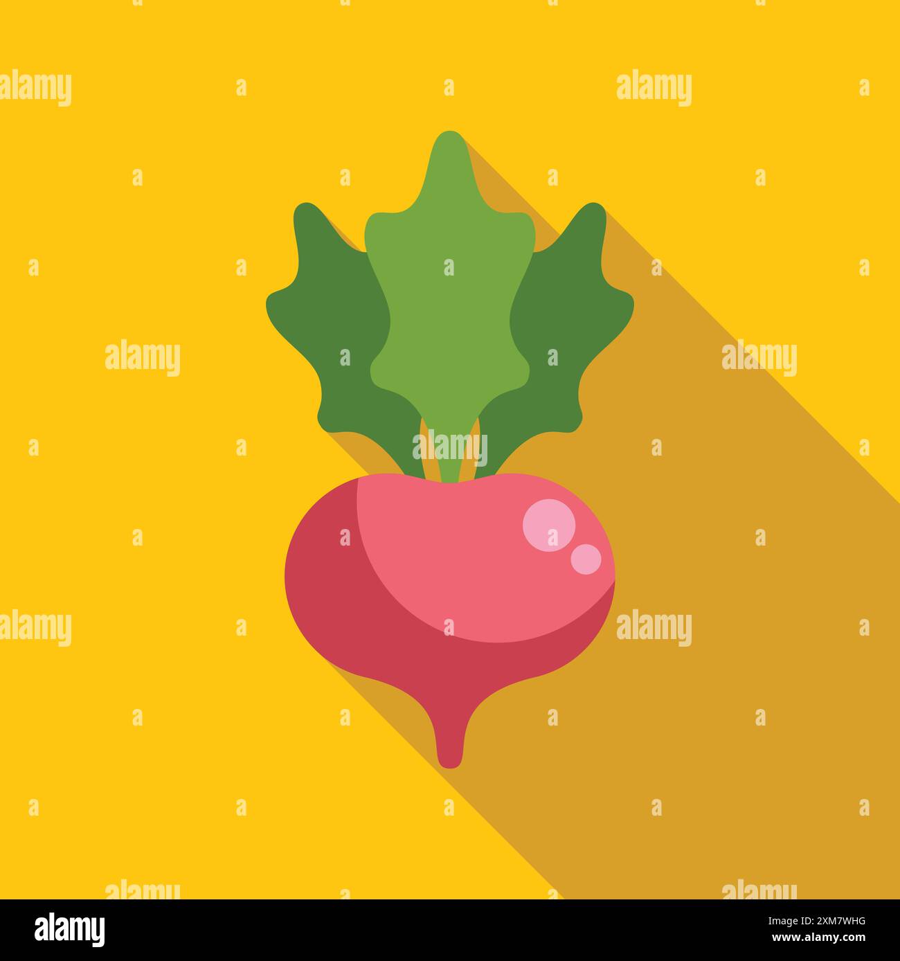 Single radish with leaves growing on a yellow background with a long shadow Stock Vector