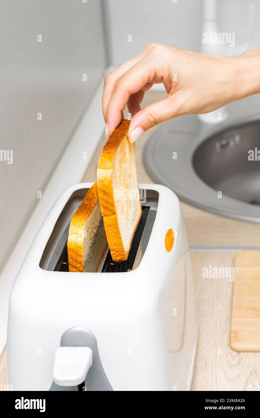 hand takes fried toast out of toaster, close-up. woman making toast ...