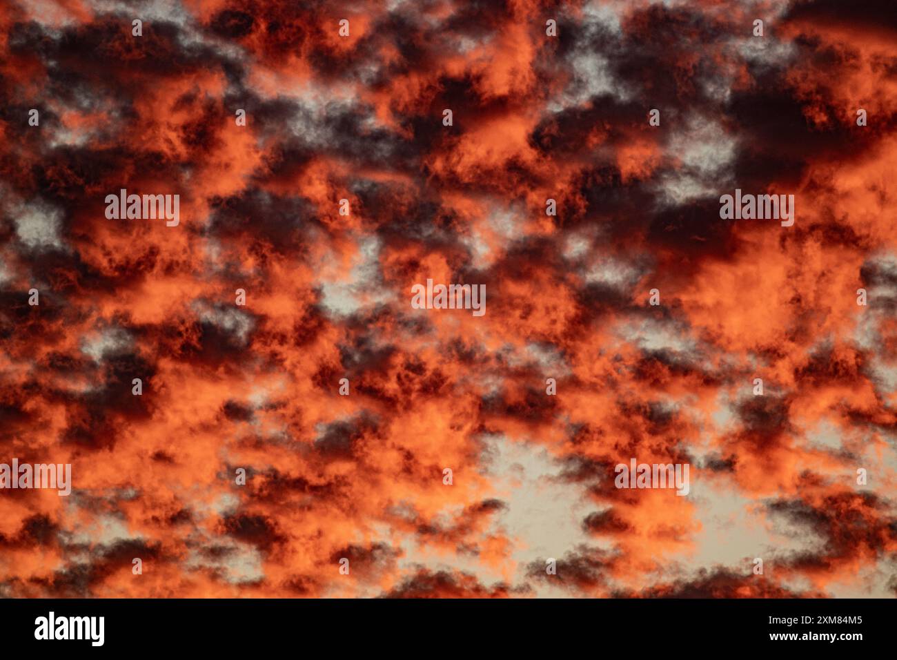 Stratocumulus clouds at sunset hi-res stock photography and images - Alamy