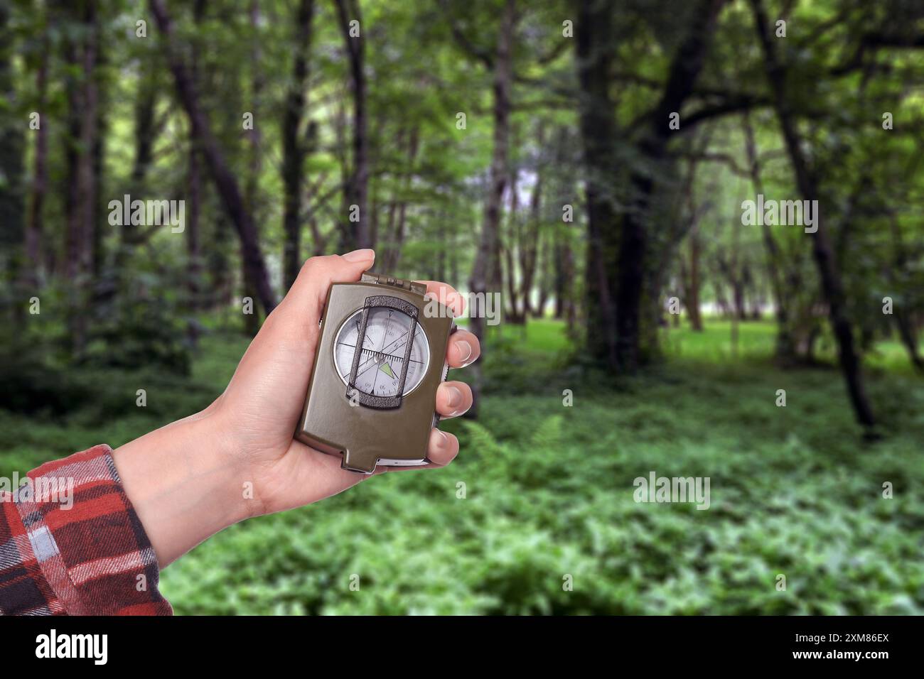 Compass in the forest hi-res stock photography and images - Alamy