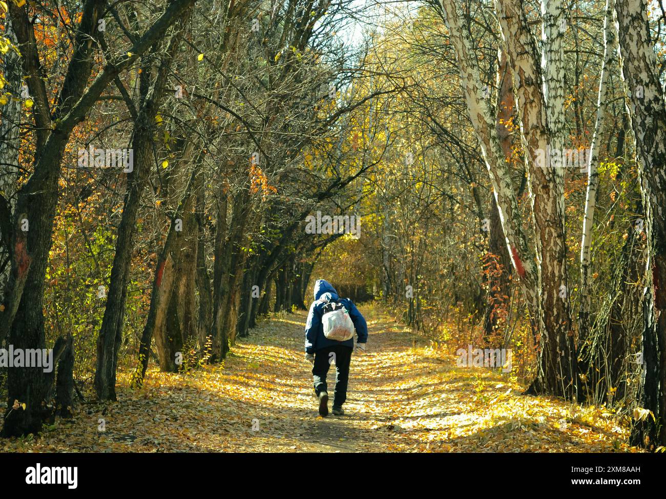 An elderly man with a white bag on his back walks along the alley in ...