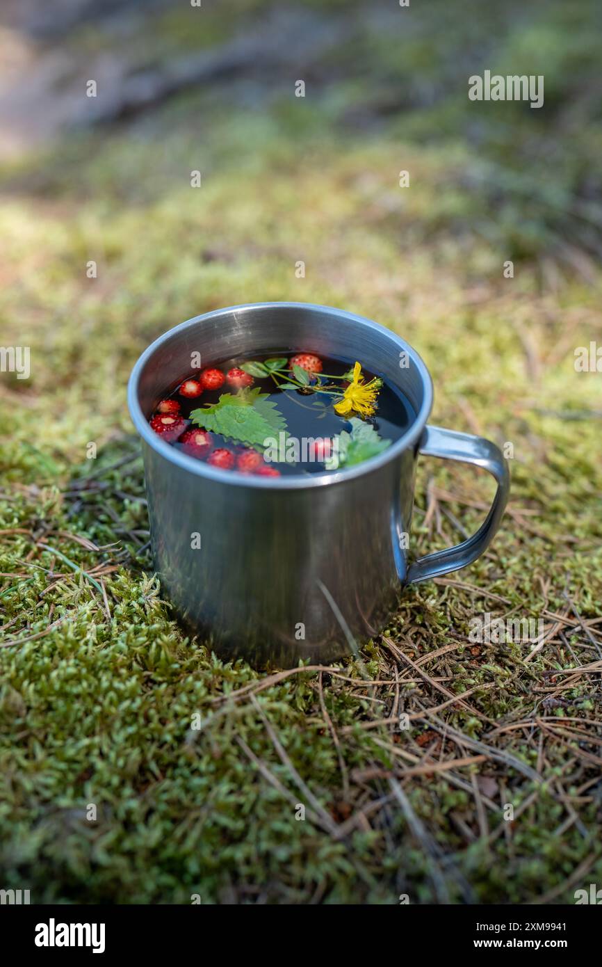 Green botanical tea from forest strawberries, mint leaves and St. John wort during a nature escape Stock Photo