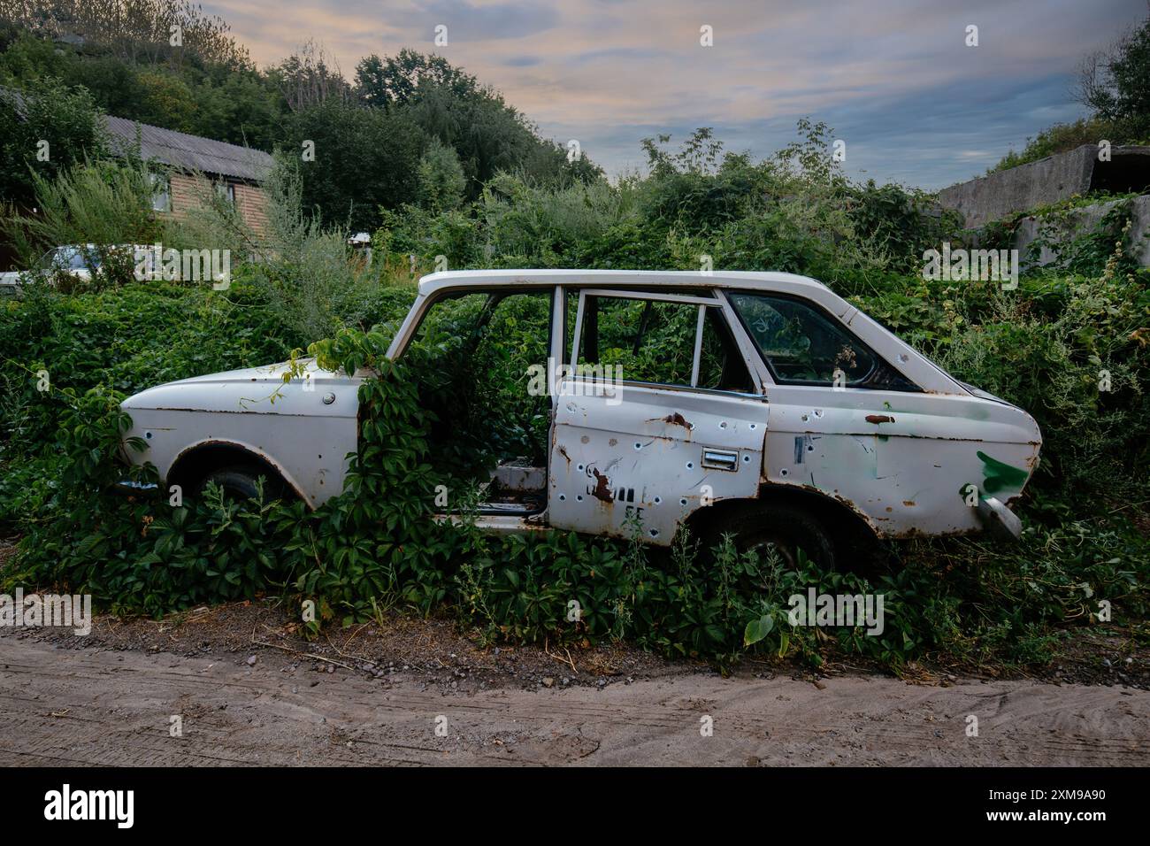 Old broken car overgrown by plants with bullet holes Stock Photo - Alamy