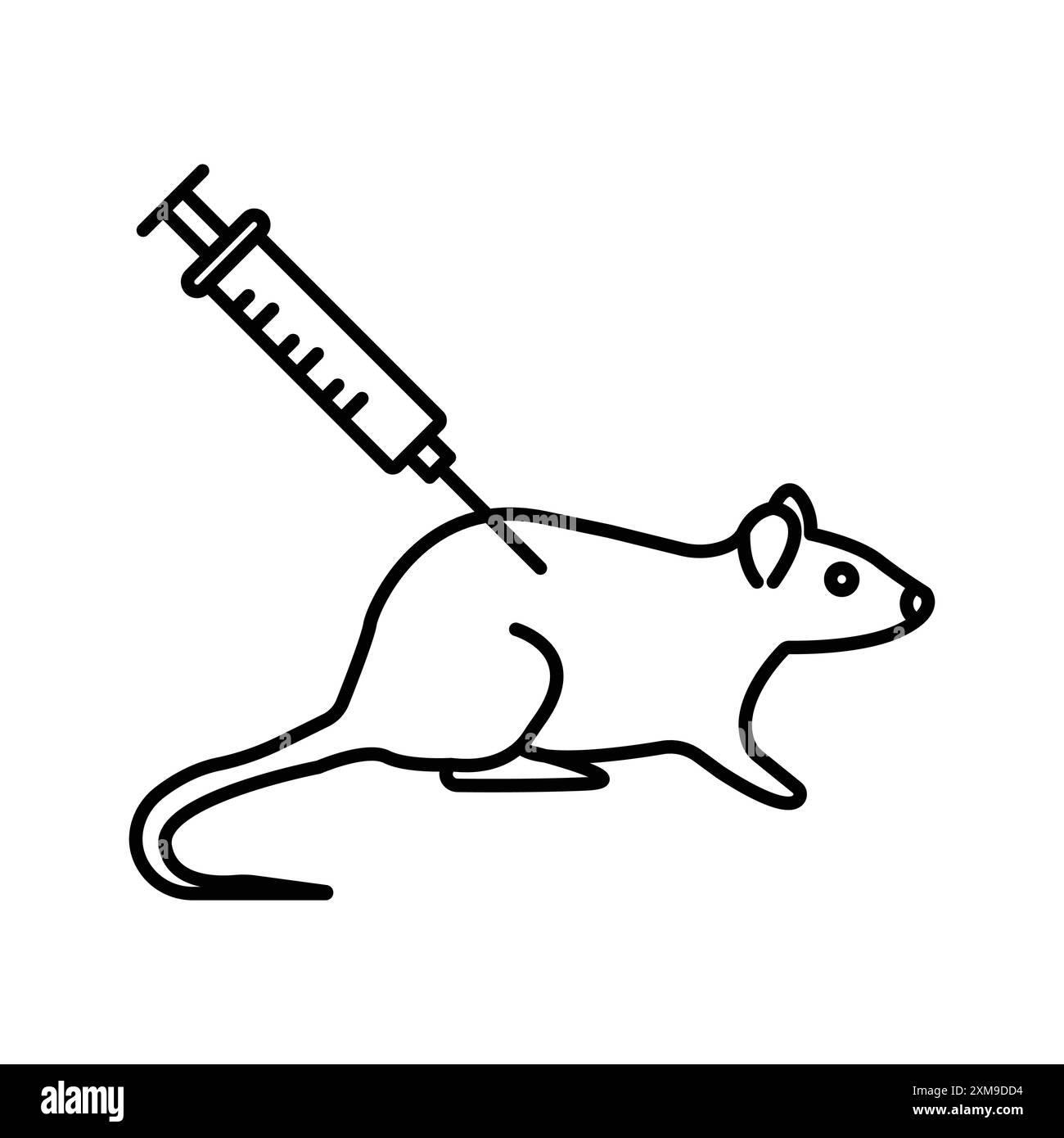 Laboratory mouse experiment Black and White Stock Photos & Images - Alamy