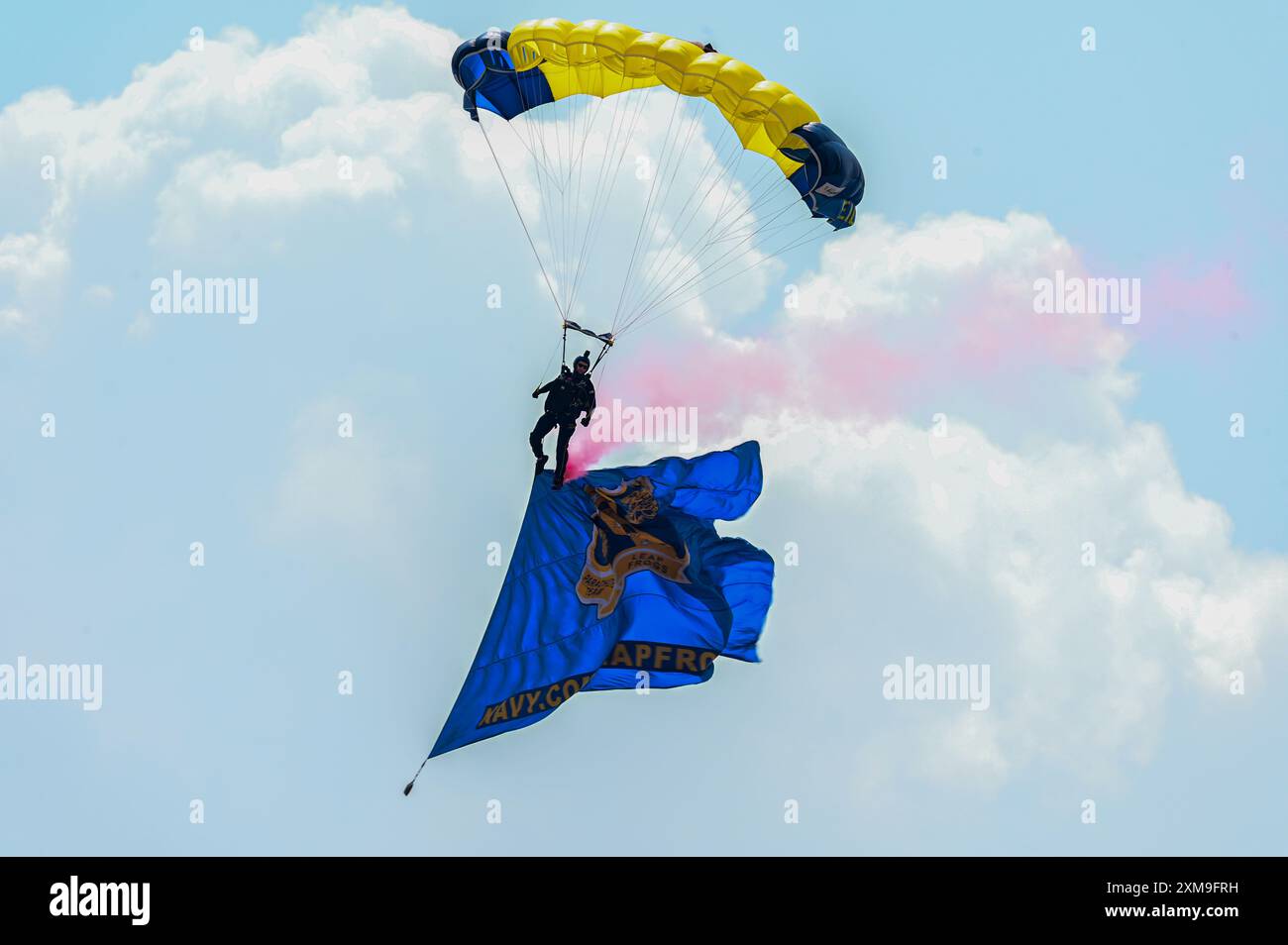 A member of the U.S. Navy Leap Frogs Parachute Team made a grand ...