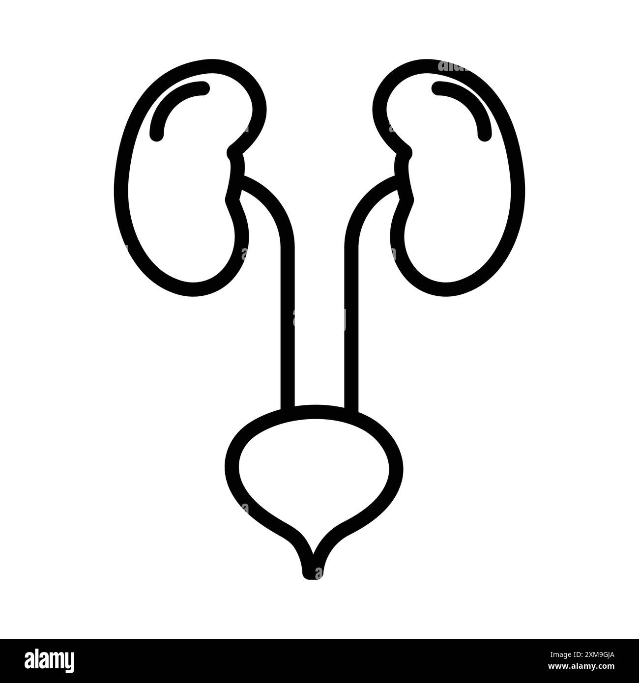 Urinary system icon linear logo mark set collection in black and white ...