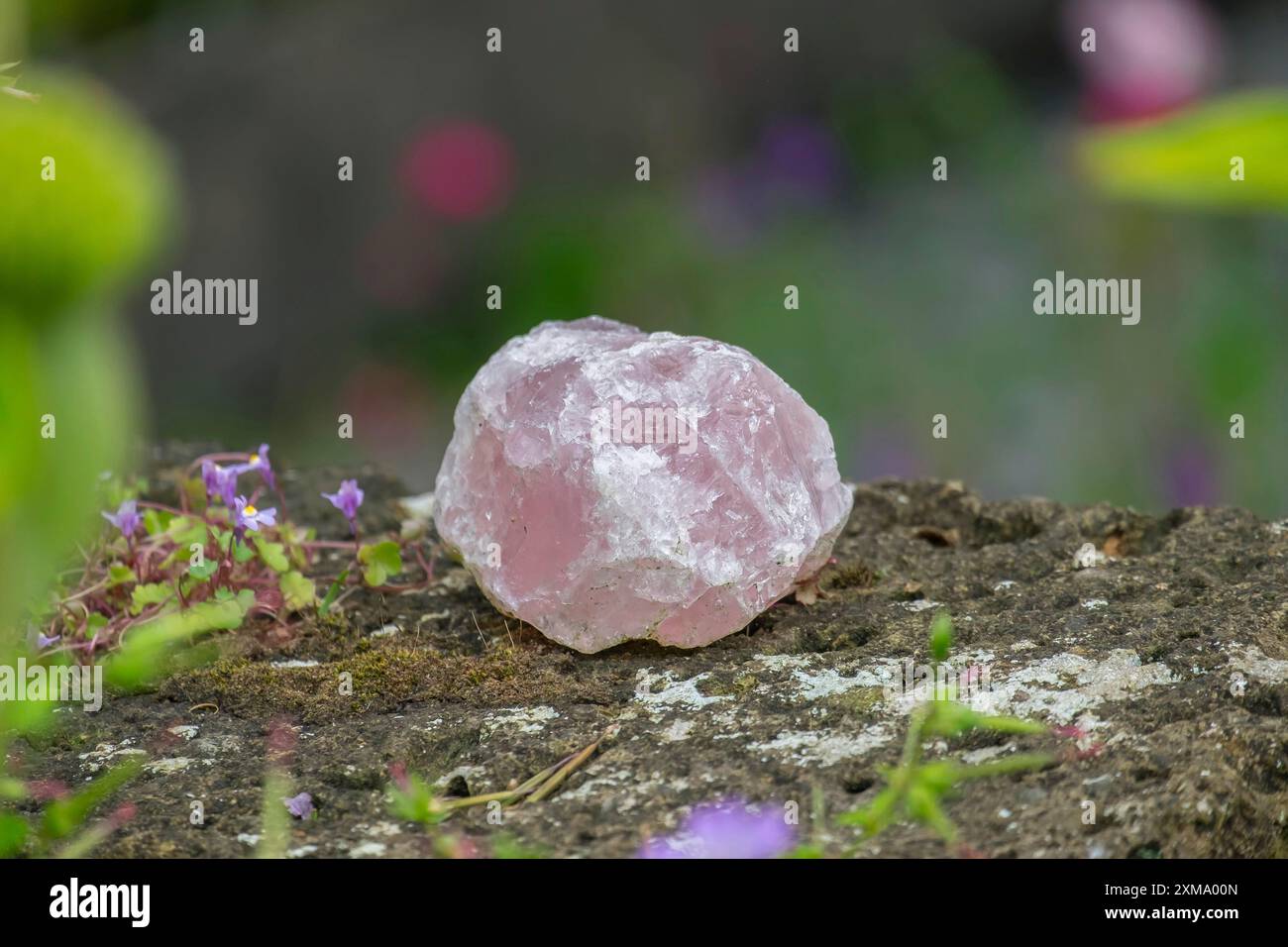 Rose quartz on an old stone wall, North Rhine-Westphalia, Germany Stock Photo