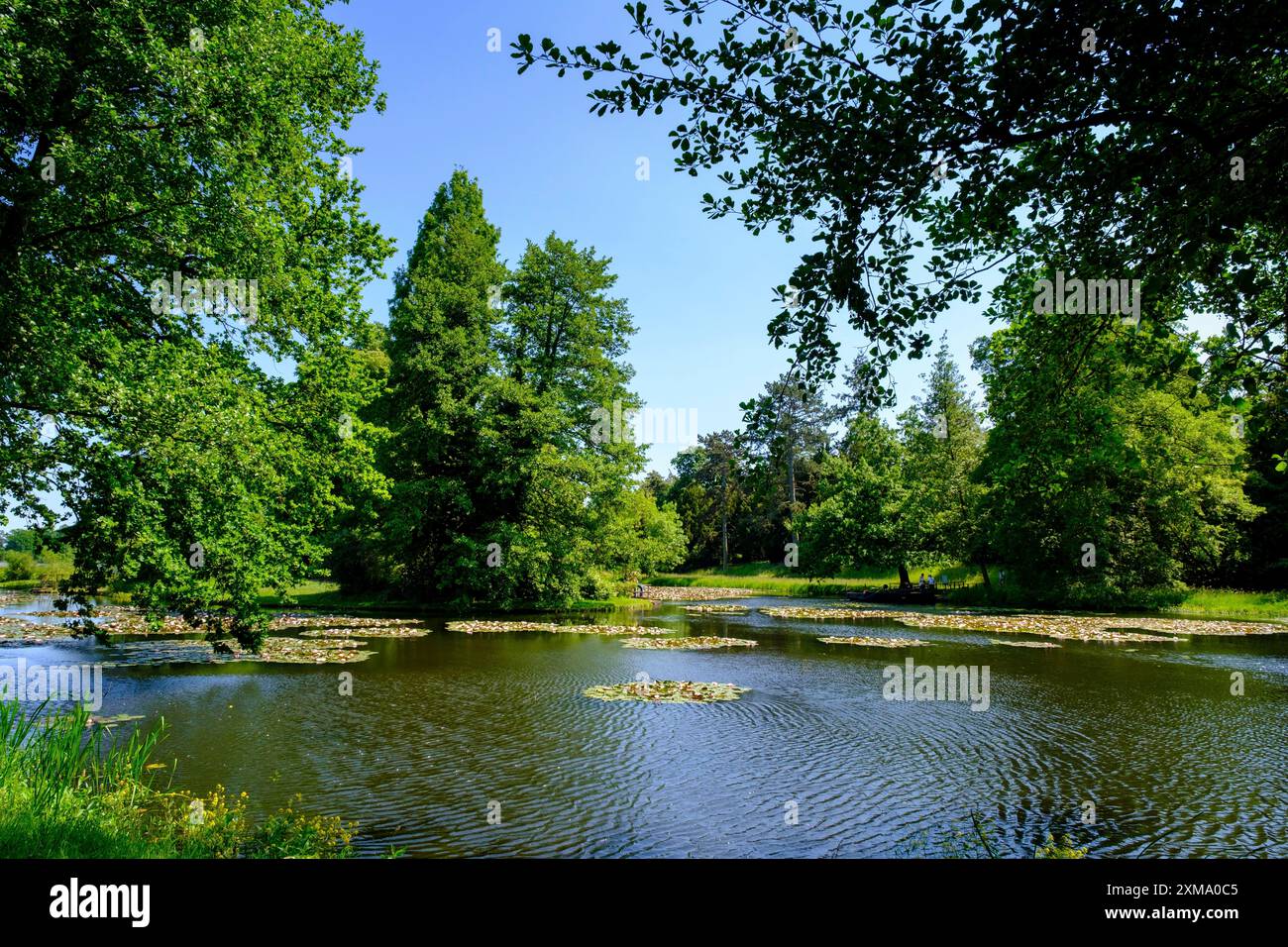 Dessau-Woerlitz Garden Kingdom, Woerlitz Park, UNESCO World Heritage ...