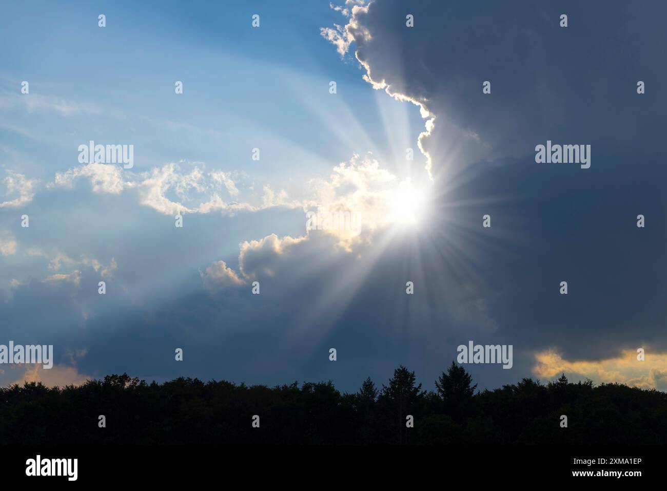 Rain clouds with sun shining through, sunbeams, blue sky, forest Stock Photo