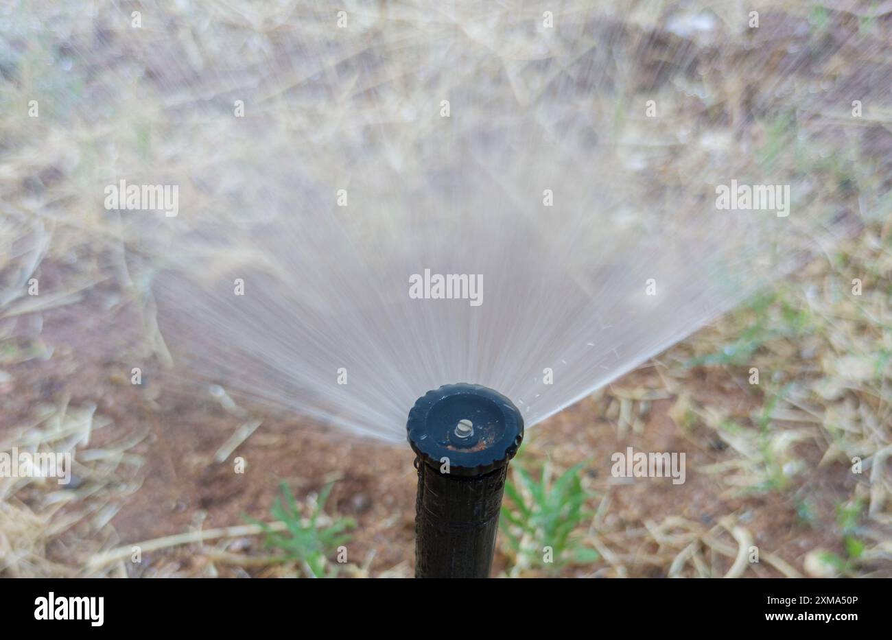 Rotor Sprinkler in action. Selective focus Stock Photo - Alamy