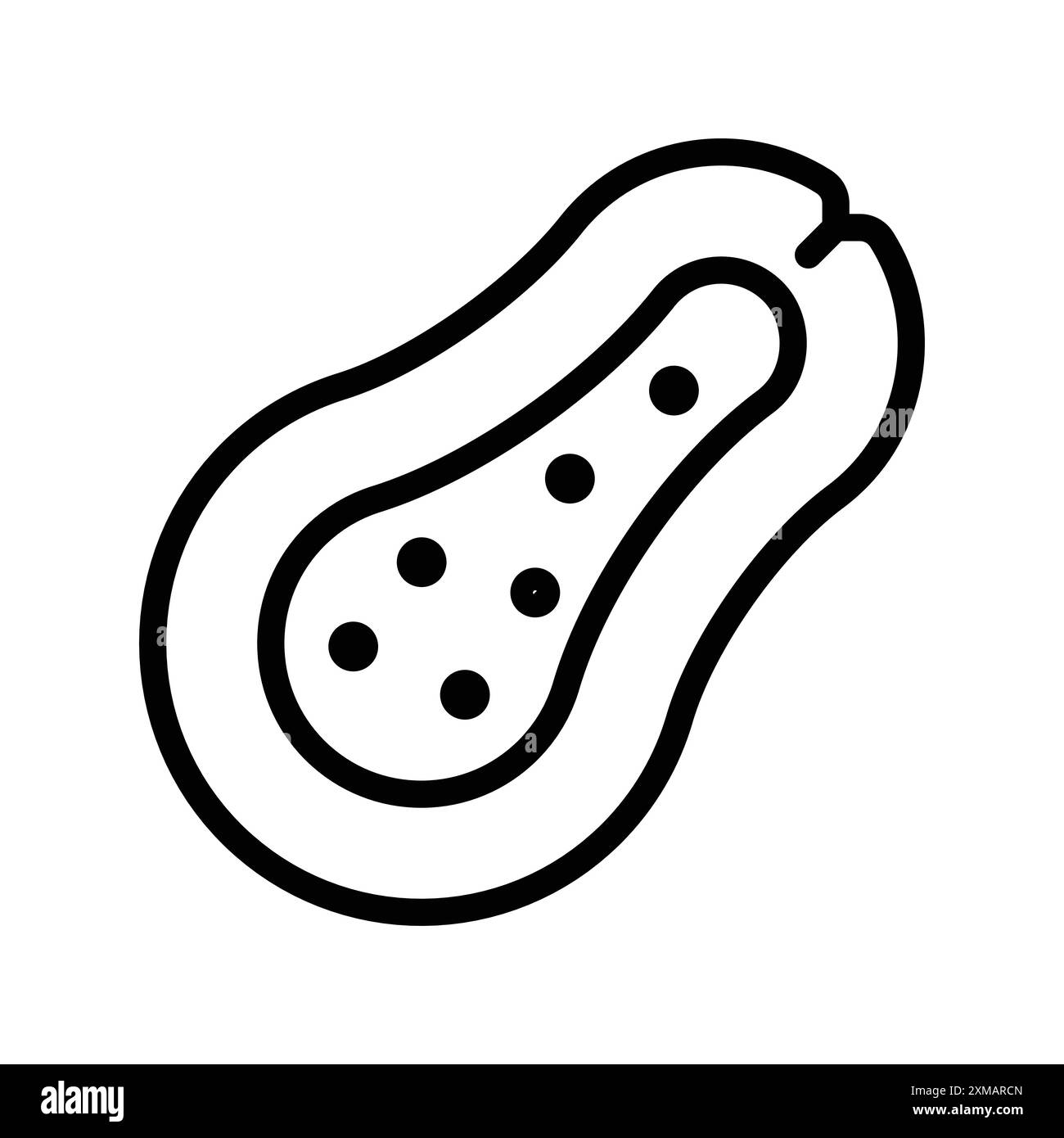 Papaya icon linear logo mark set collection in black and white for web Stock Vector