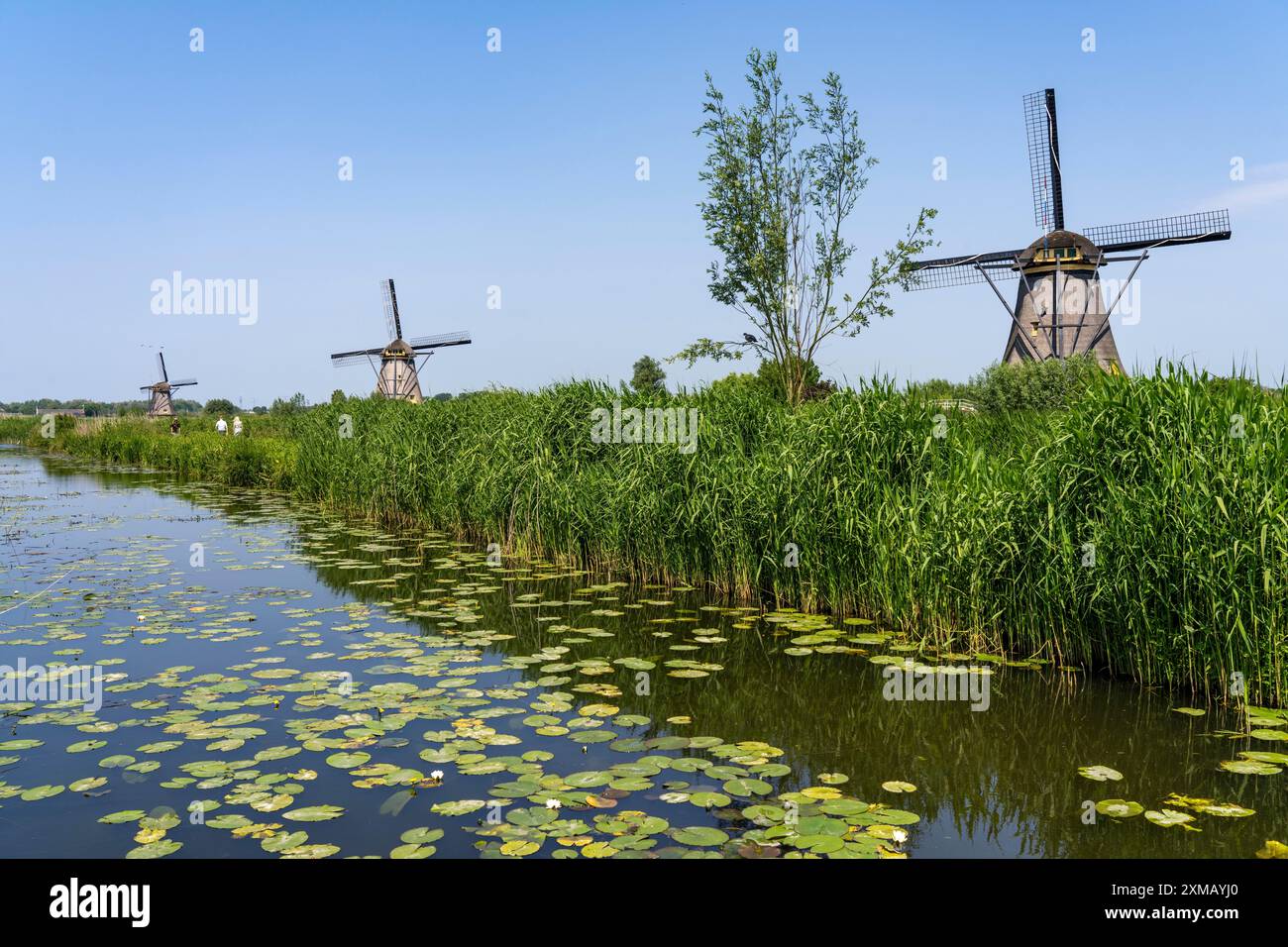 Kinderdijk, 18 windmills designed to pump water from the polders to