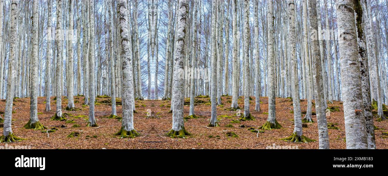 the beautiful landscapes and colors of autumn Stock Photo - Alamy