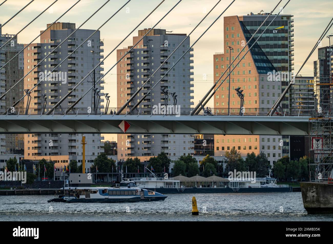 The Erasmus Bridge, over the Nieuwe Maas, building on the Boompjeskade, Waterbus, Rotterdam, Netherlands Stock Photo