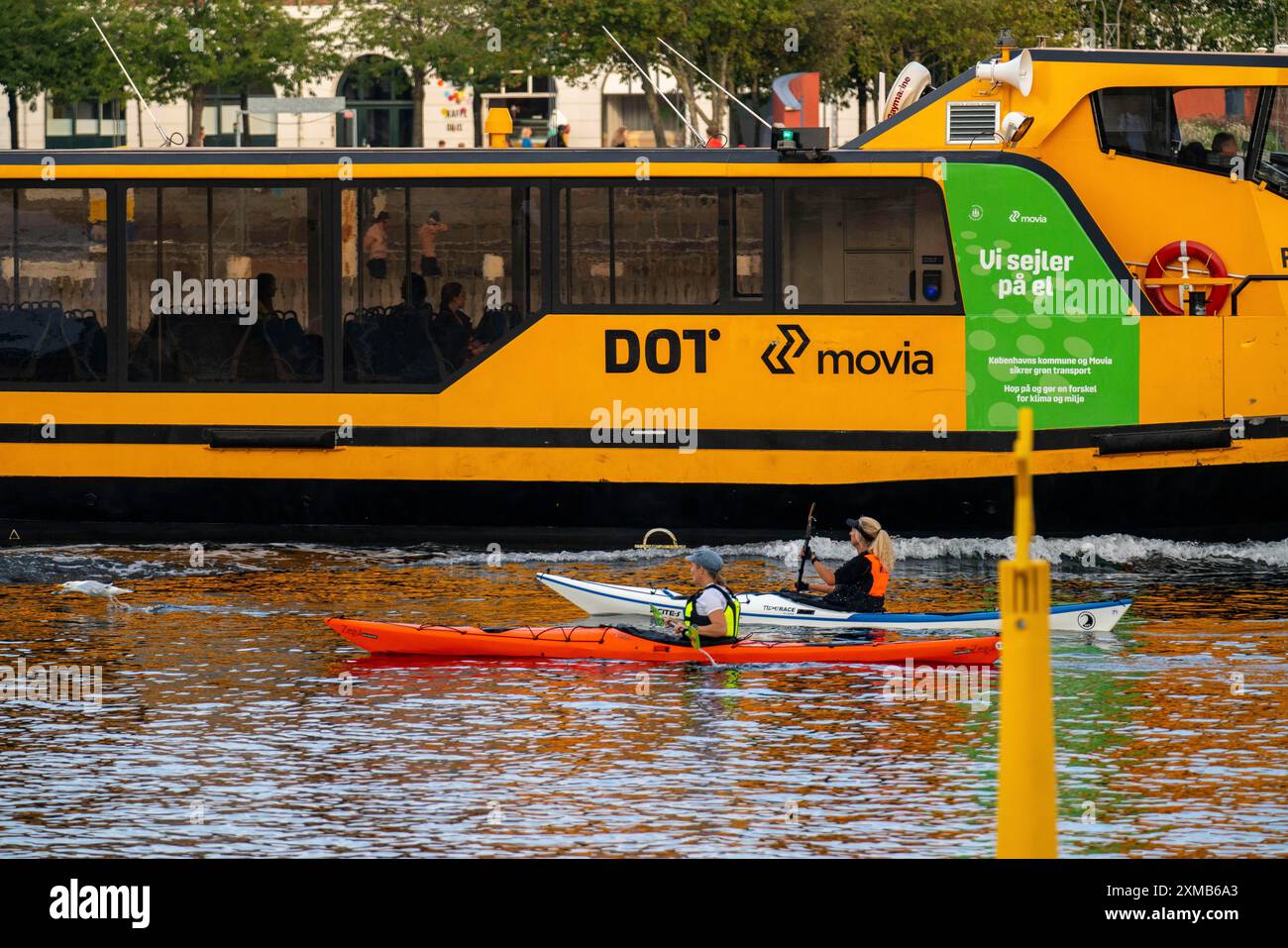 Harbour bus, liner in Copenhagen harbour, public transport, kayaks, Sydhavnen, Copenhagen, Denmark Stock Photo