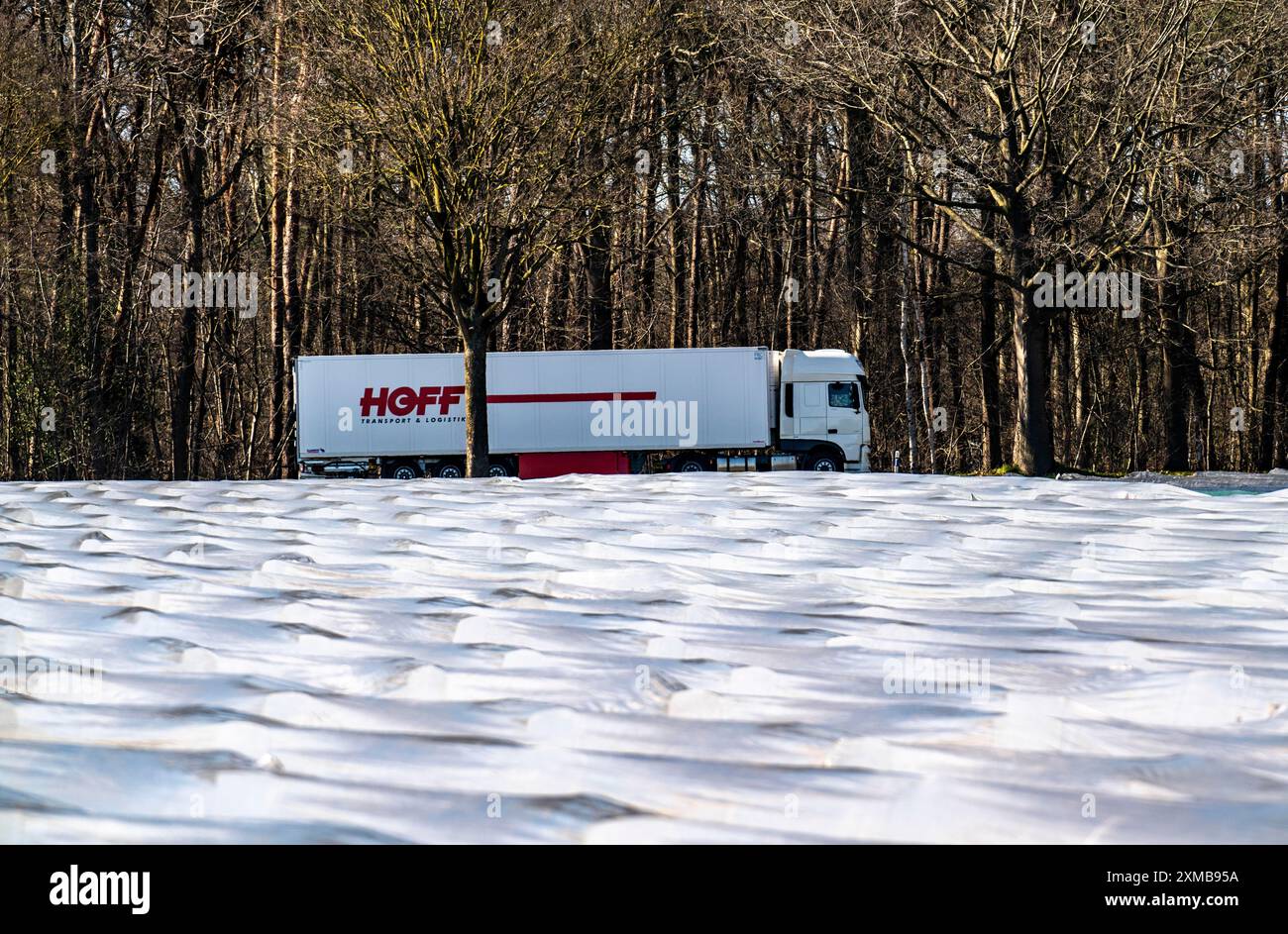 Agriculture on the Lower Rhine, early season, asparagus cultivation in spring, under plastic sheeting, foil tunnel, asparagus field, landscape under Stock Photo