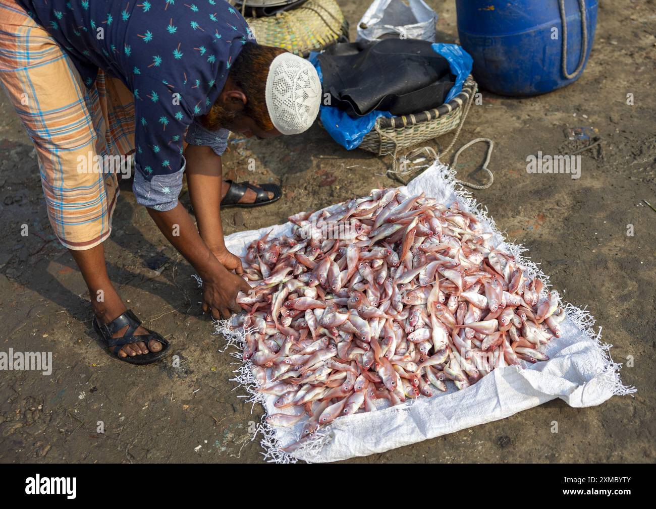 Bangladeshi man selling fishes in fish market, Chittagong Division ...