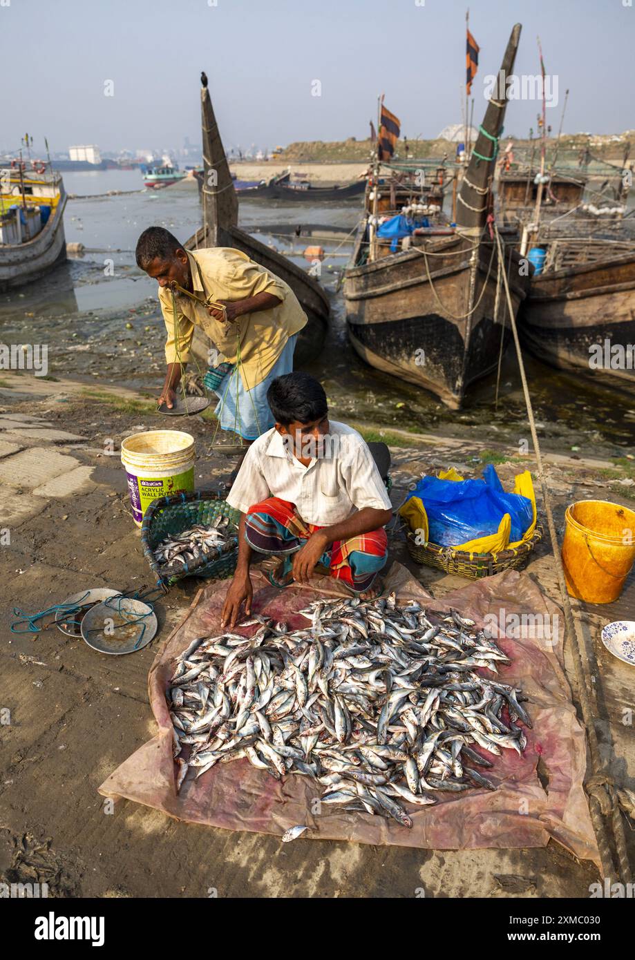 Bangladeshi man selling fishes in fish market, Chittagong Division ...
