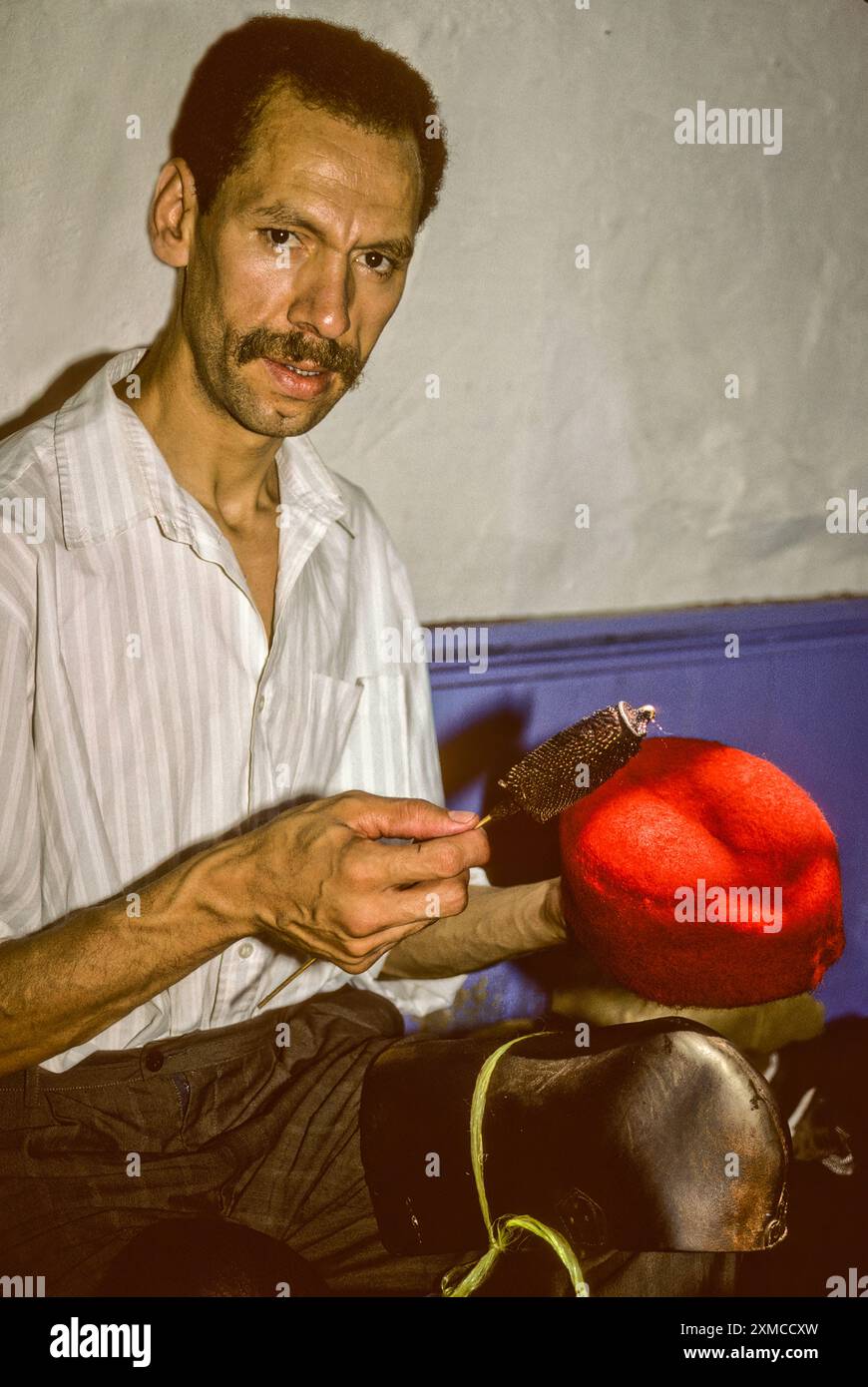 Tunisian Hat, Chechia.  Combing a Chechia with a Metal Thistle-comb. Stock Photo