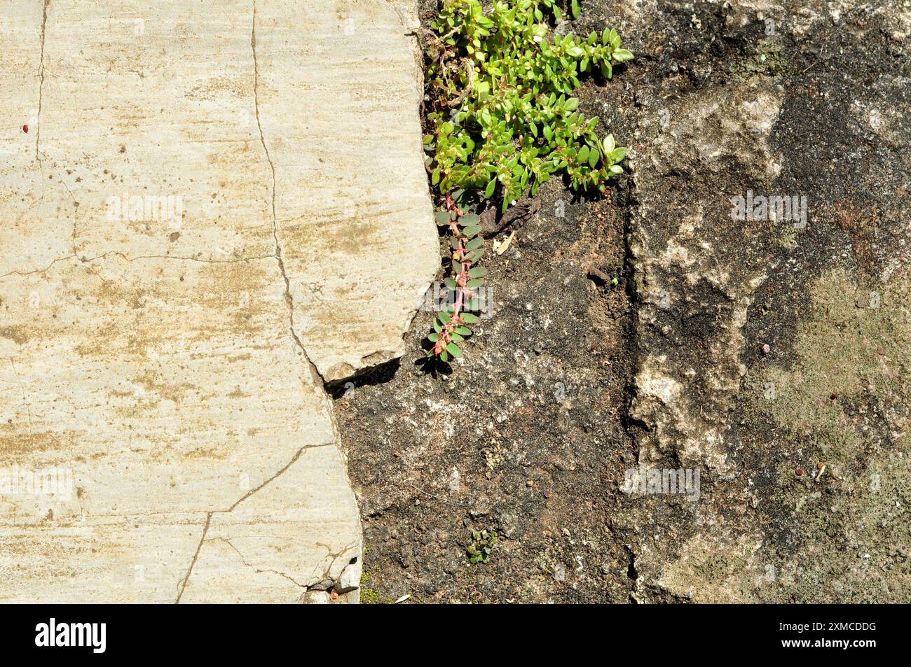 Cracked cement floor wall texture background pattern Stock Photo