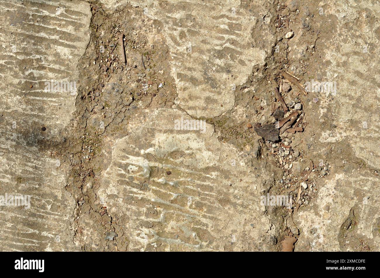 Cracked cement floor wall texture background pattern Stock Photo