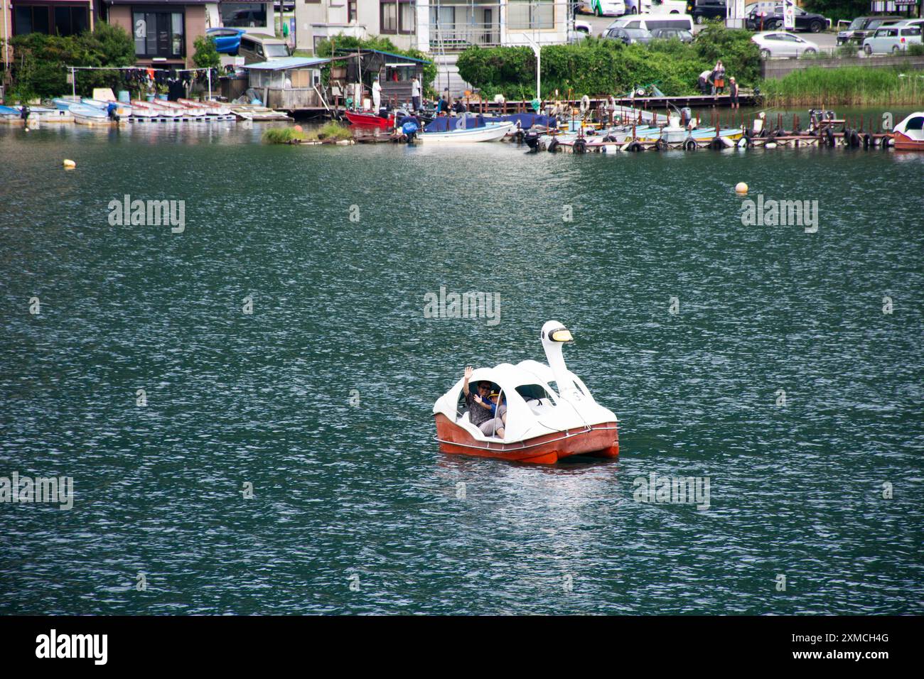 Ducks Pedal Boats And Swan Pedalo Watercycle For Traveler Japanese 