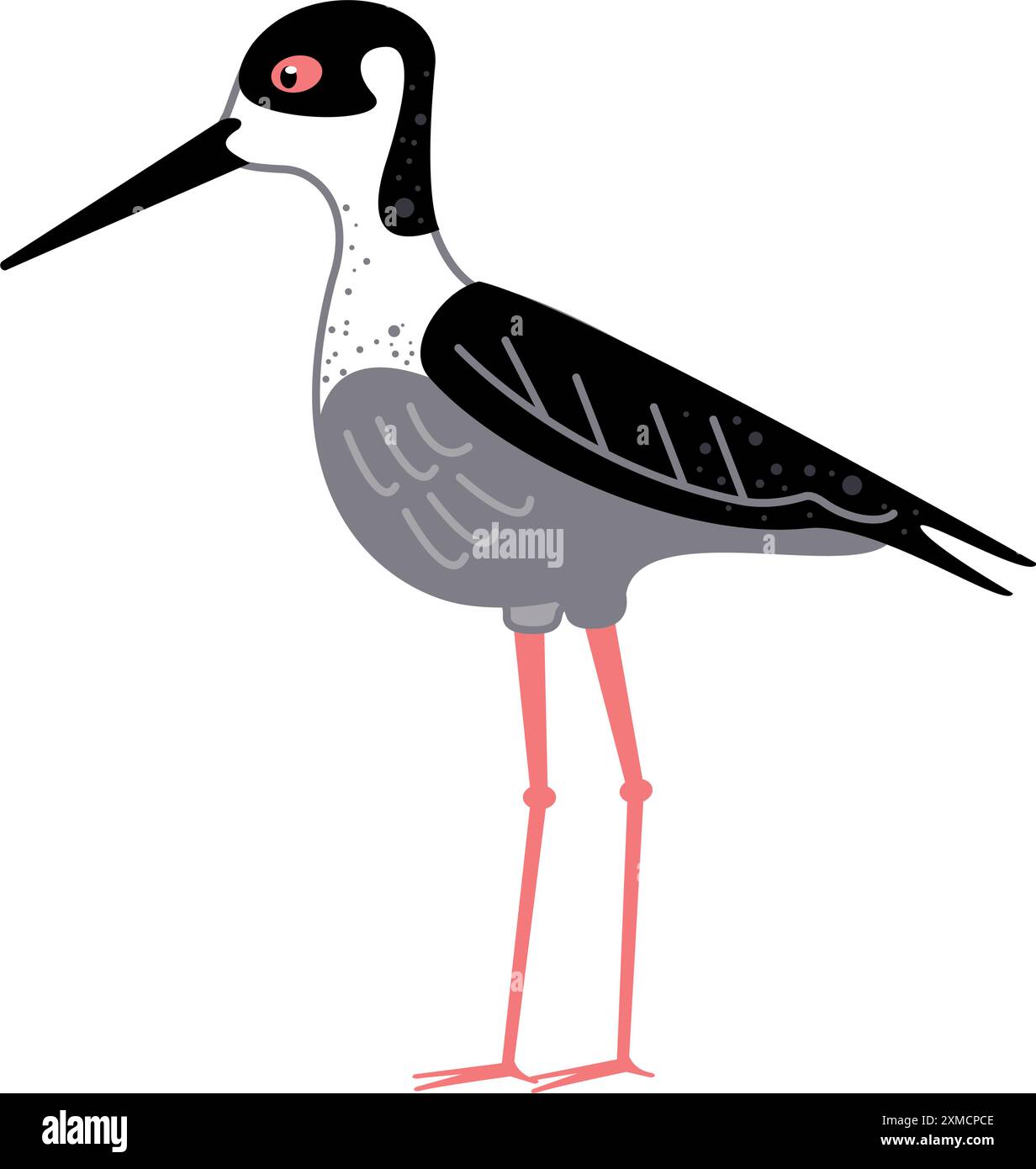 black necked stilt bird Stock Vector Image & Art Alamy