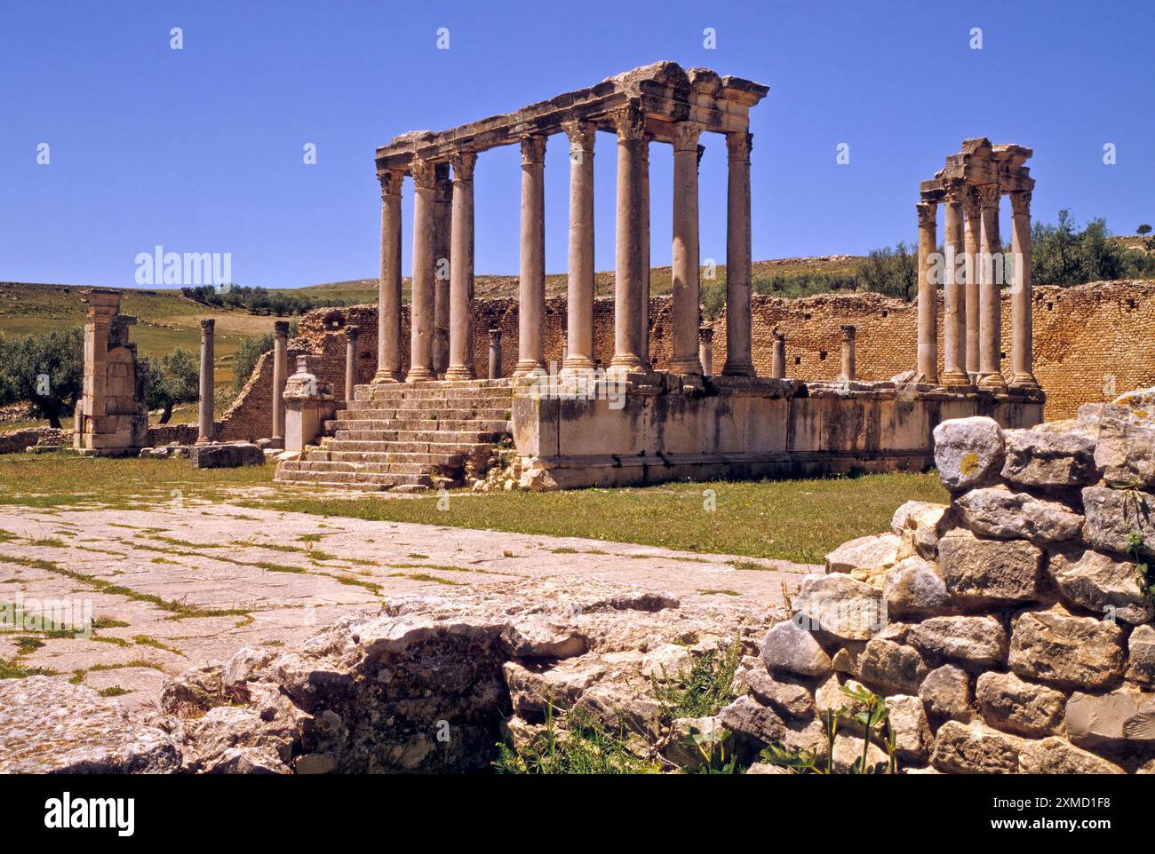 Caelestis hi-res stock photography and images - Alamy