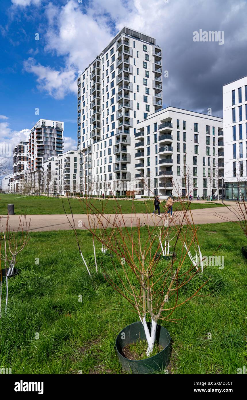 Picture of Modern residential district along Toulouser Allee, high-rise buildings ...