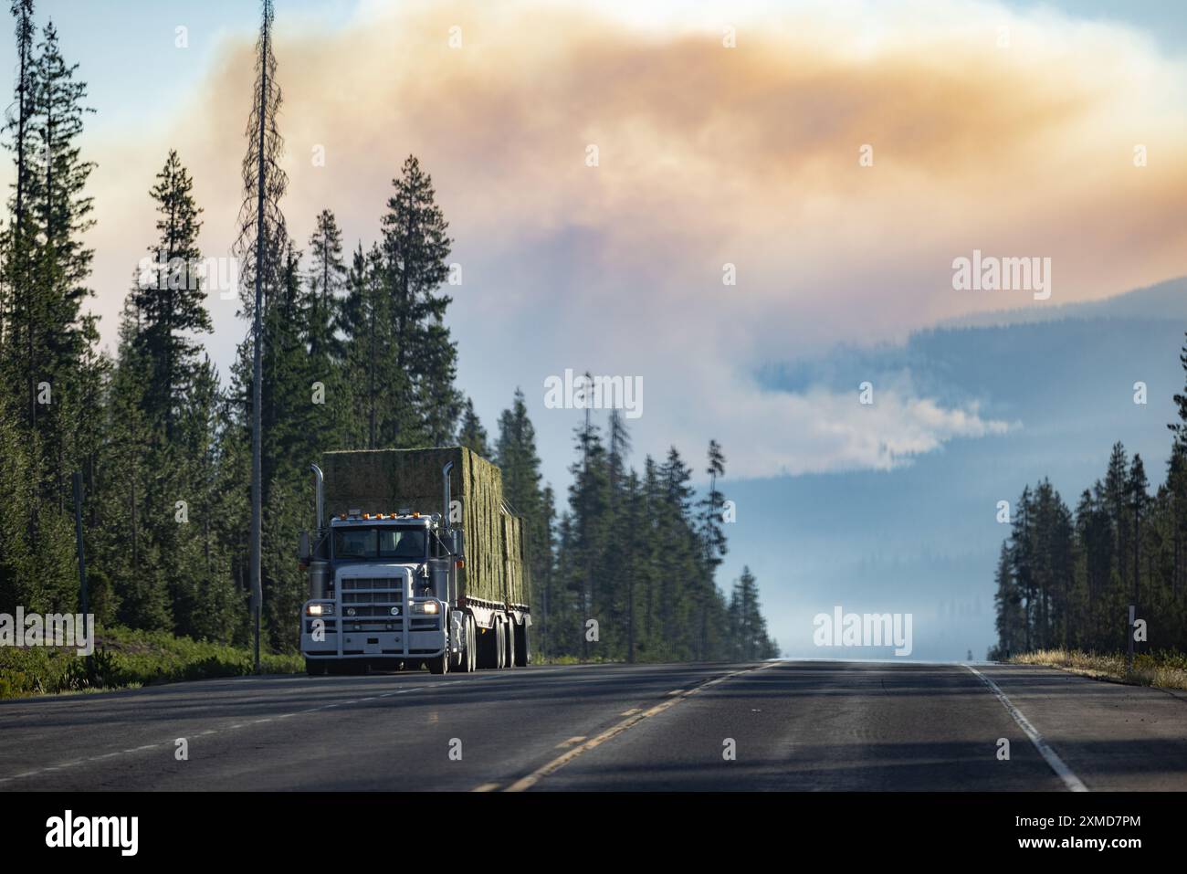 Fire truck fleet hi-res stock photography and images - Alamy