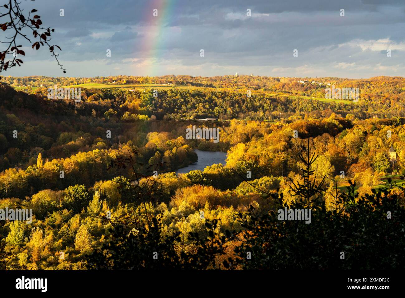 Autumnal forest along the Ruhr valley between Essen-Kettwig and Essen-Werden, seen from Oefter Wald, on the right golf course Schloss Oefte, Essen Stock Photo