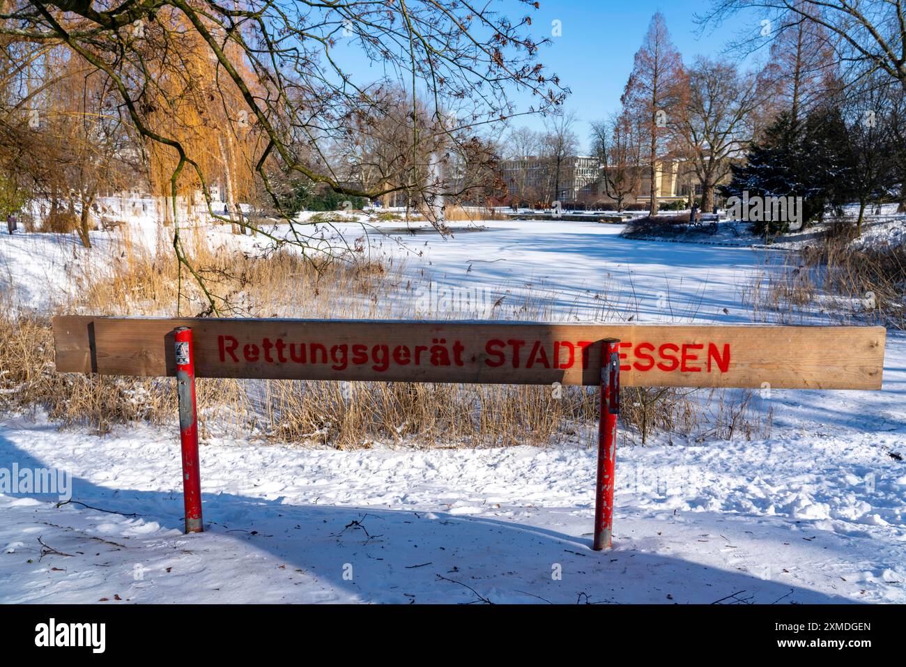 Winter weather in the Ruhr area, Stadtgarten Essen, municipal park in the city centre, snow-covered, frozen pond, Essen, North Rhine-Westphalia Stock Photo