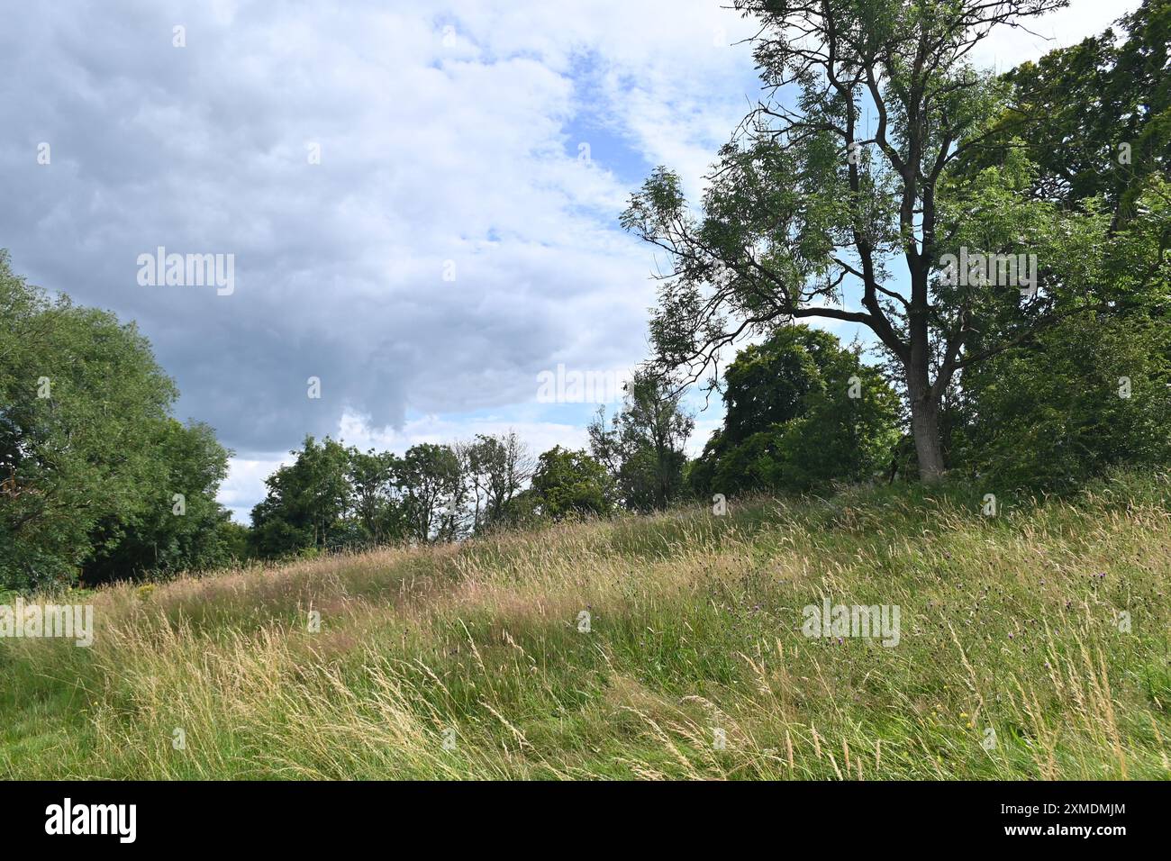 Peaceful images hi-res stock photography and images - Alamy