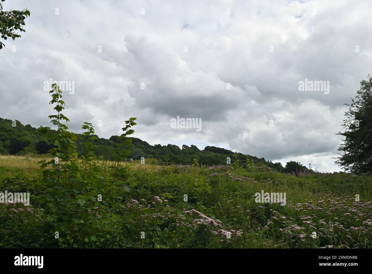 Clouds Over the Valley Stock Photo
