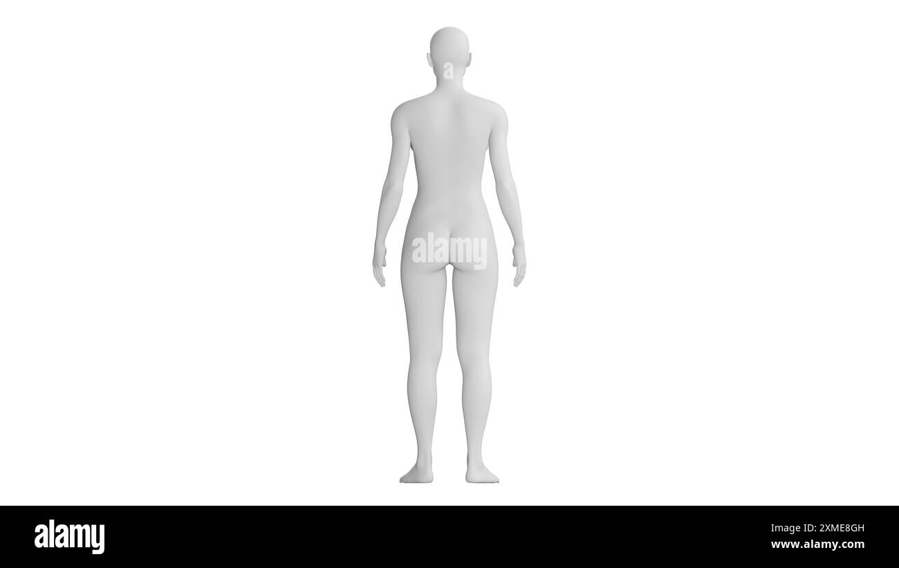 White Female Mannequin Standing Isolated on White Background. Back View ...