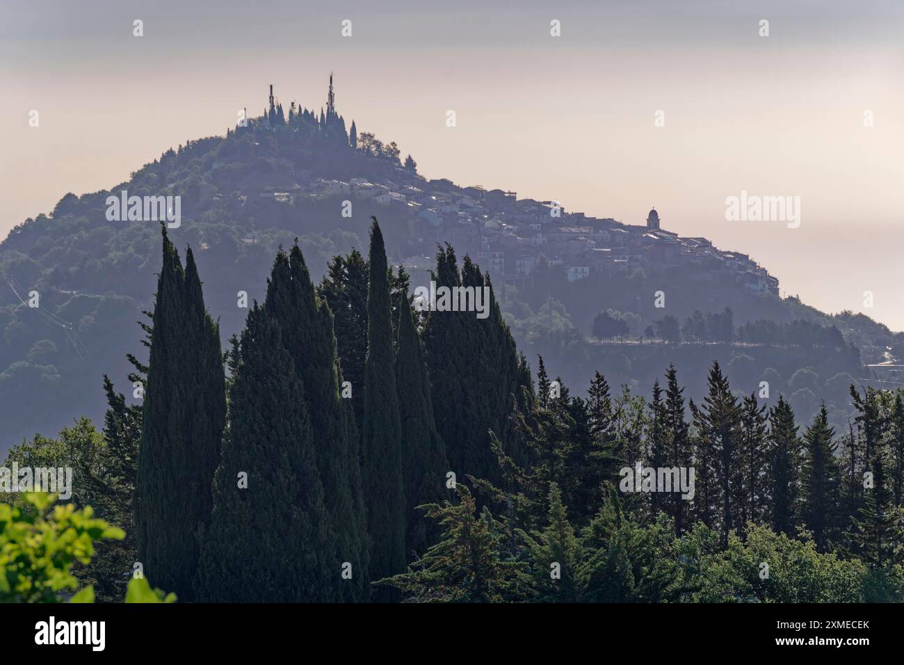 Cypress trees in the landscape near Fardella in Basilicata in the ...