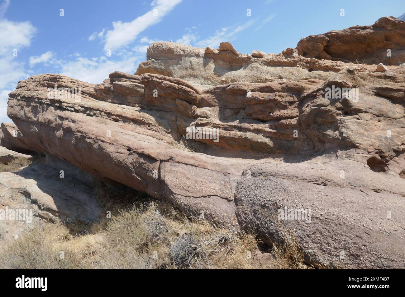 4th of july agua dulce 2025
