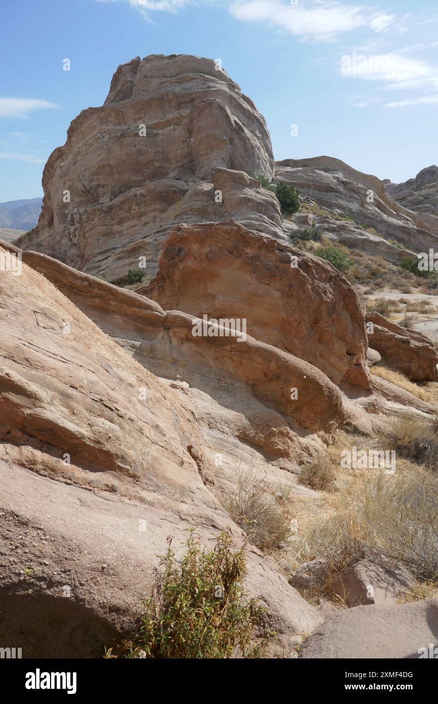 Agua Dulce, California, USA 23rd July 2024 Vasquez Rocks Natural Park ...