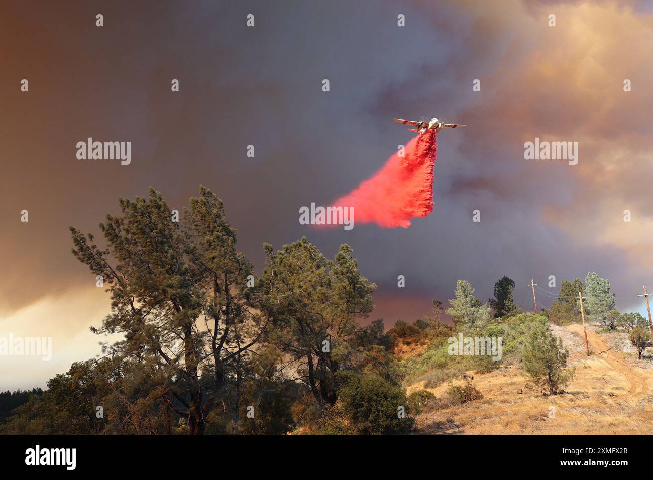 Handout photo shows firefighters battling against to flames on July 25 ...