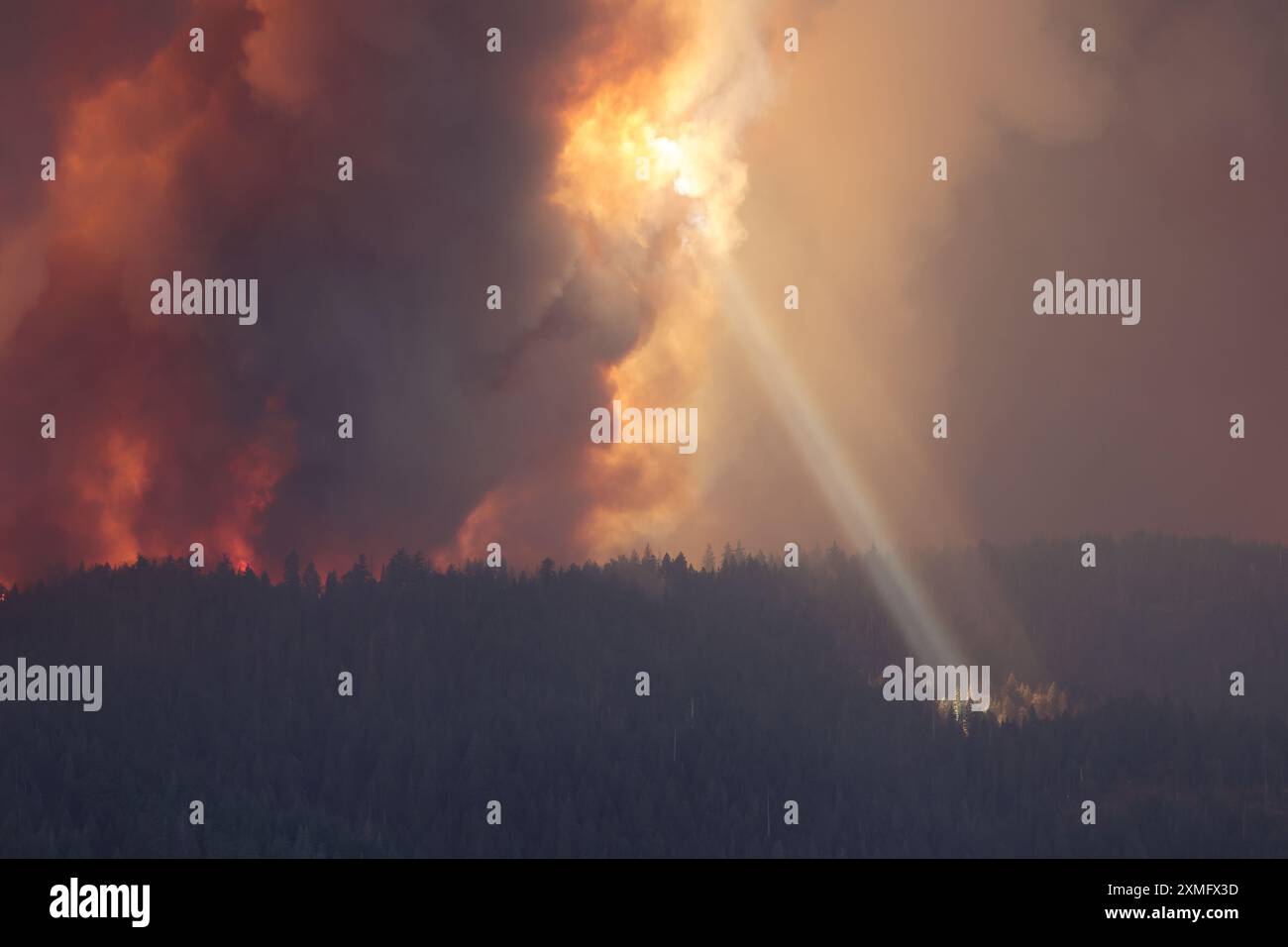 Handout photo shows firefighters battling against to flames on July 26 ...