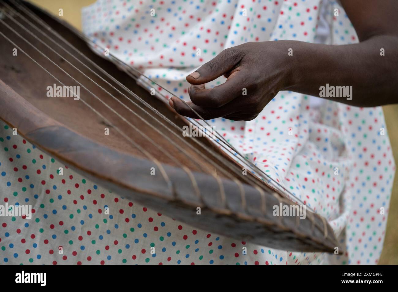 Traditional stringed instrument native to hi-res stock photography and ...