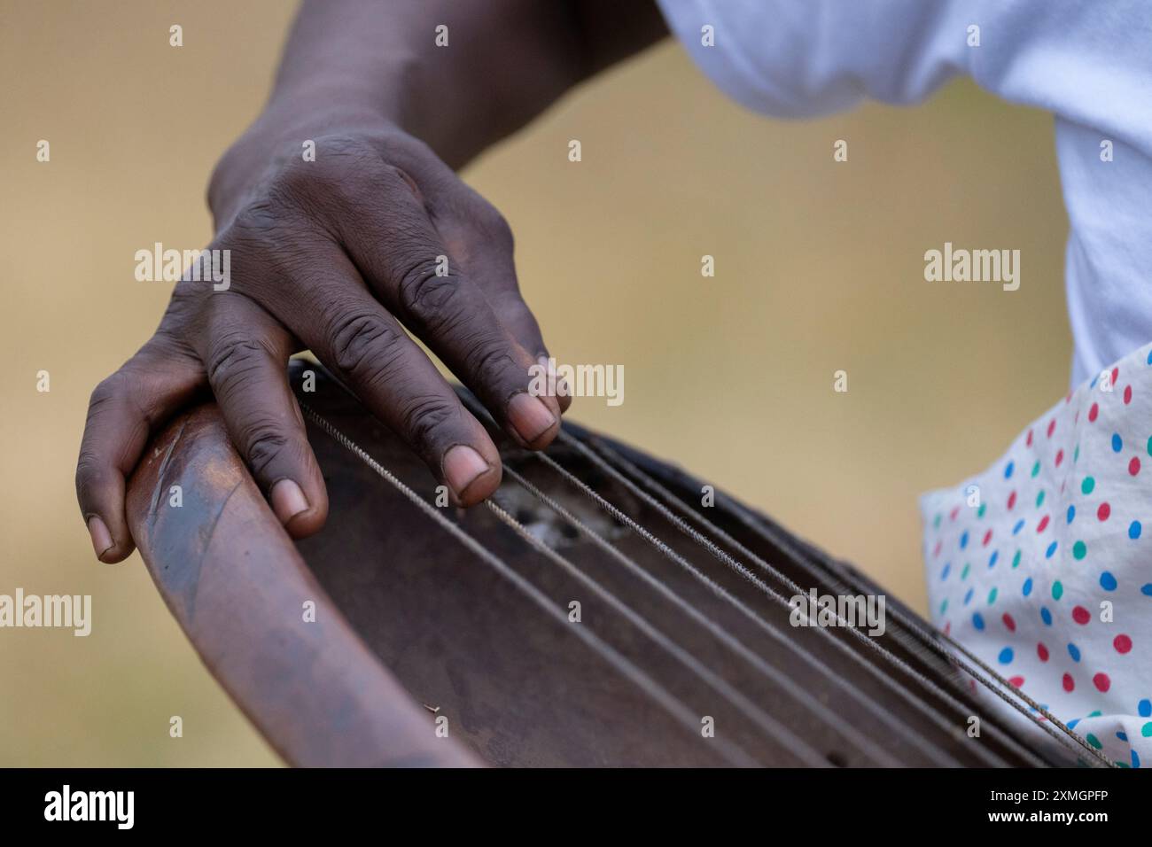 Traditional stringed instrument native to hi-res stock photography and ...