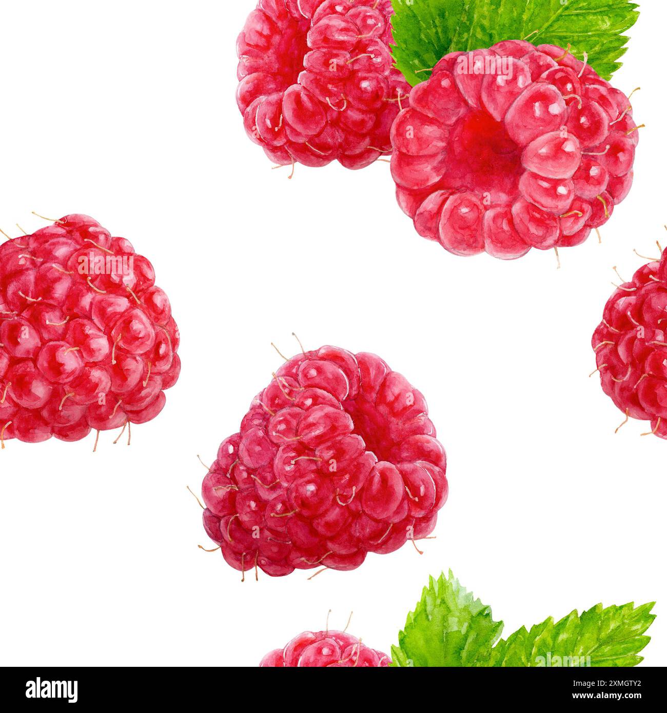 Summer Raspberry Color Summer vibes with watercolor raspberries, green leaves, and their ...